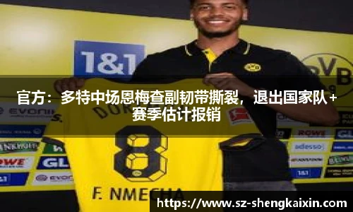 官方：多特中场恩梅查副韧带撕裂，退出国家队+赛季估计报销